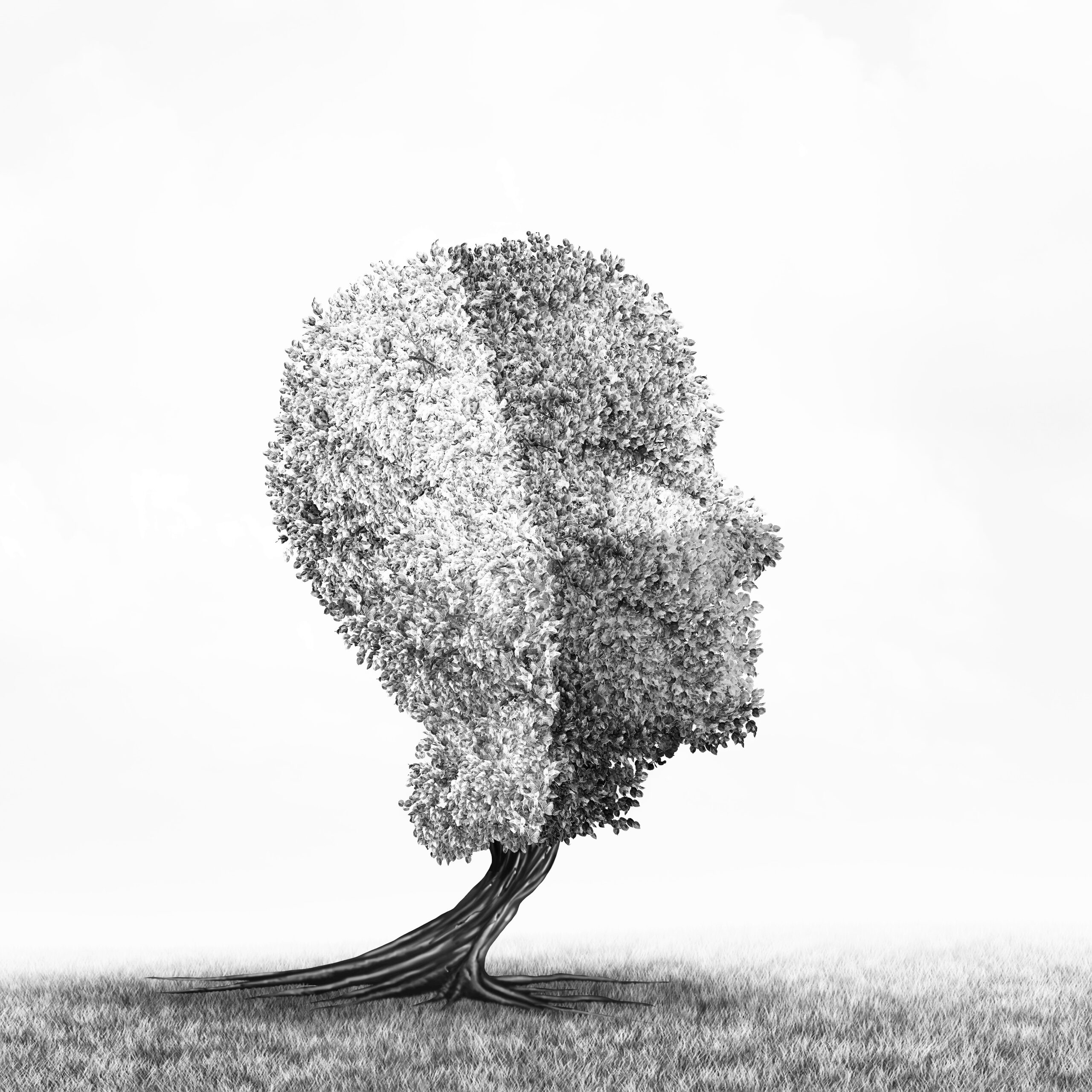 Interpreting in Mental Health Environments